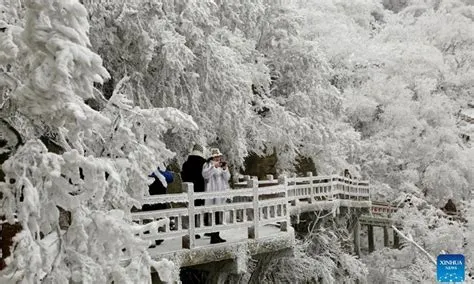  雲台山秘境奇景，探索江南山水之美！